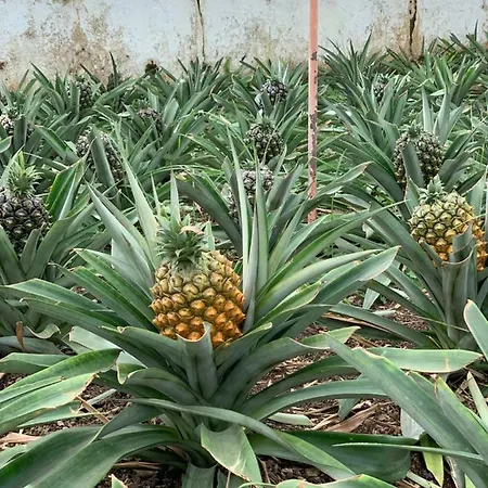 וילה The Right Place To Relax *