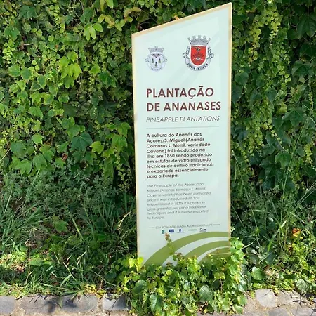 The Right Place To Relax וילה *