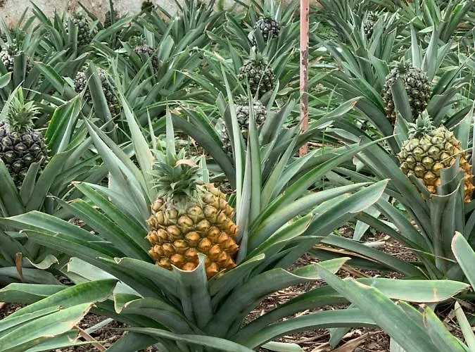 ヴィラ The Right Place To Relax *