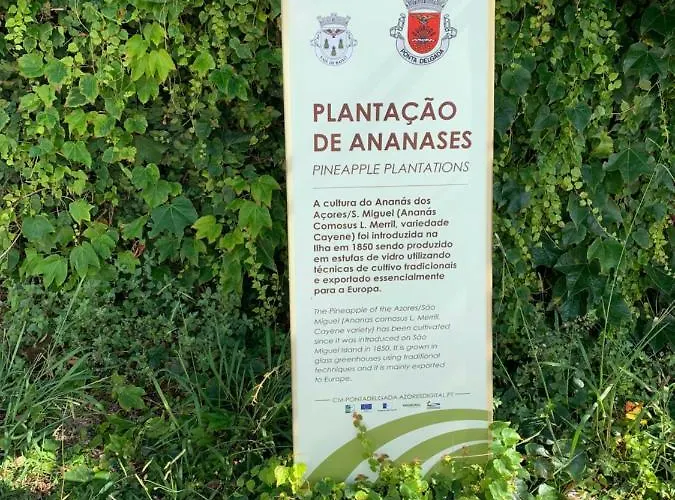 The Right Place To Relax ヴィラ *